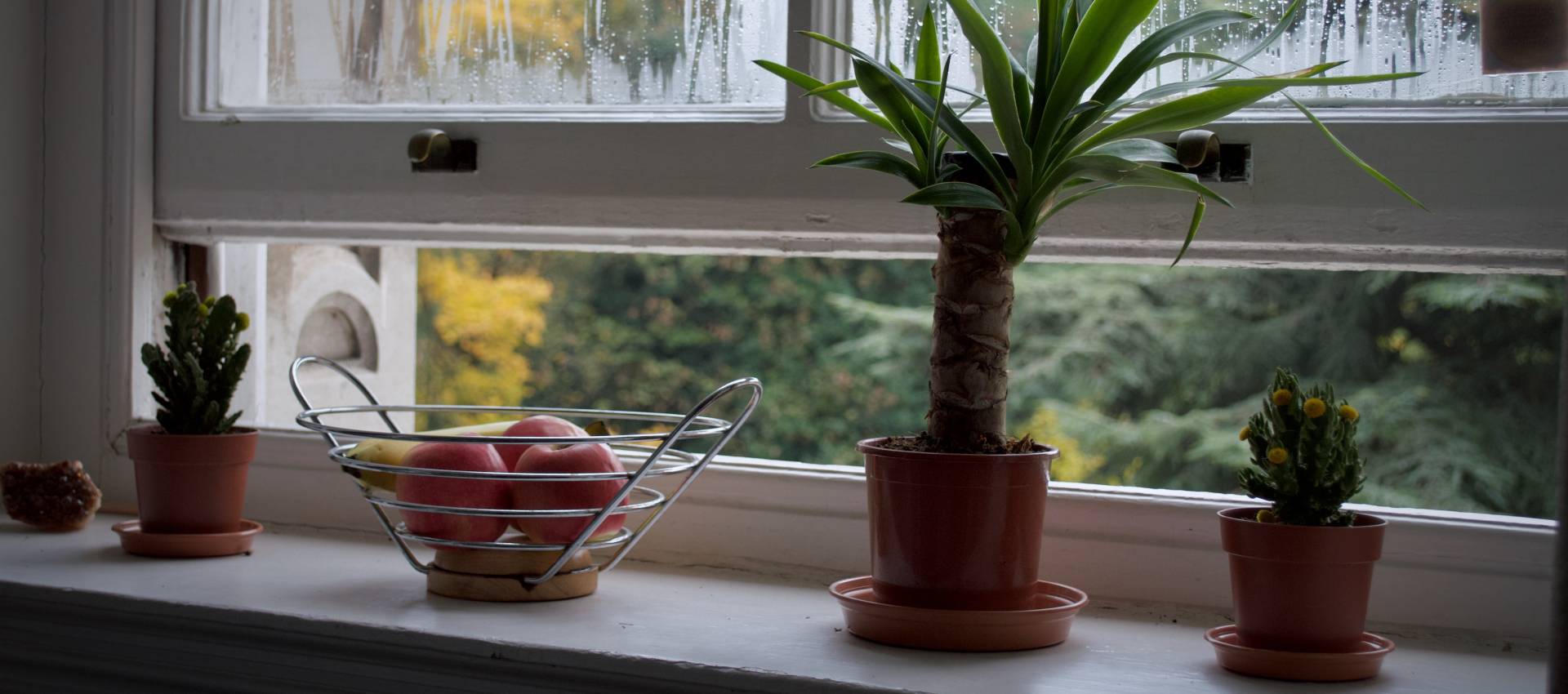 windowsill