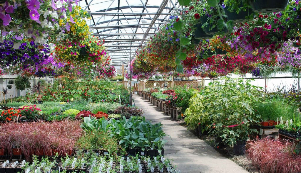 Destratification Standard Series Fan Installation 2