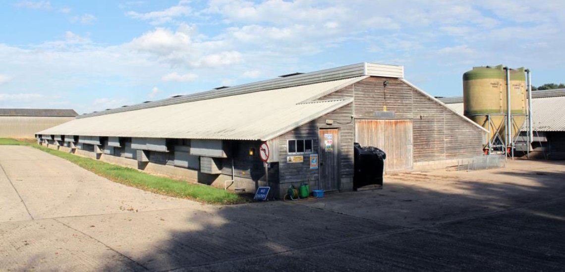 Destratification System Poultry Shed