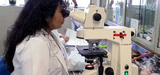 What-We-Learned-From-The-SARS-2003-Outbreak-Button