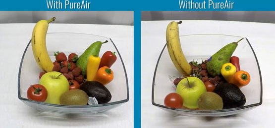 Airius-PureAIr-Series-Reducing-Mould-Growth-on-food-over-7-days