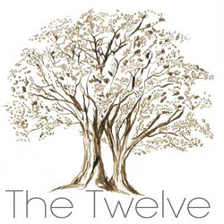 The Twelve Hotel Trusts in BiPolar Ionisation Air Purification